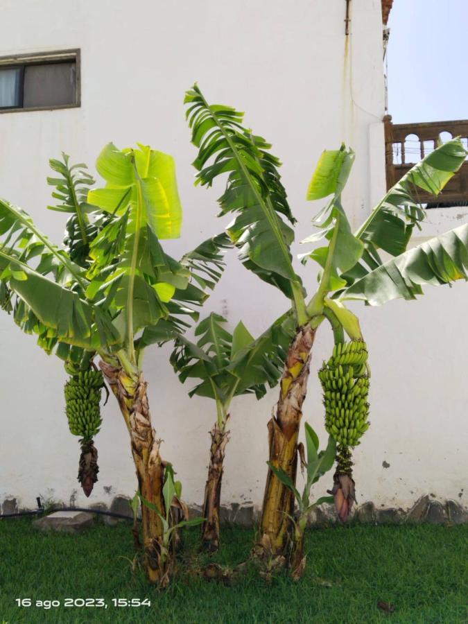 2 Camere Splendida Casa Vacanze In Tenerife Del Sur Casa Trilly Arona  Exterior photo